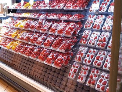 點擊查看詳細信息<br>標題：果蔬架-72 塑料模塊 閱讀次數(shù)：2600